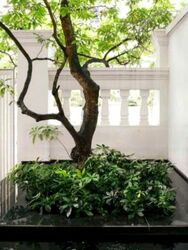 Cairnhill Road (D9), Detached #465947901